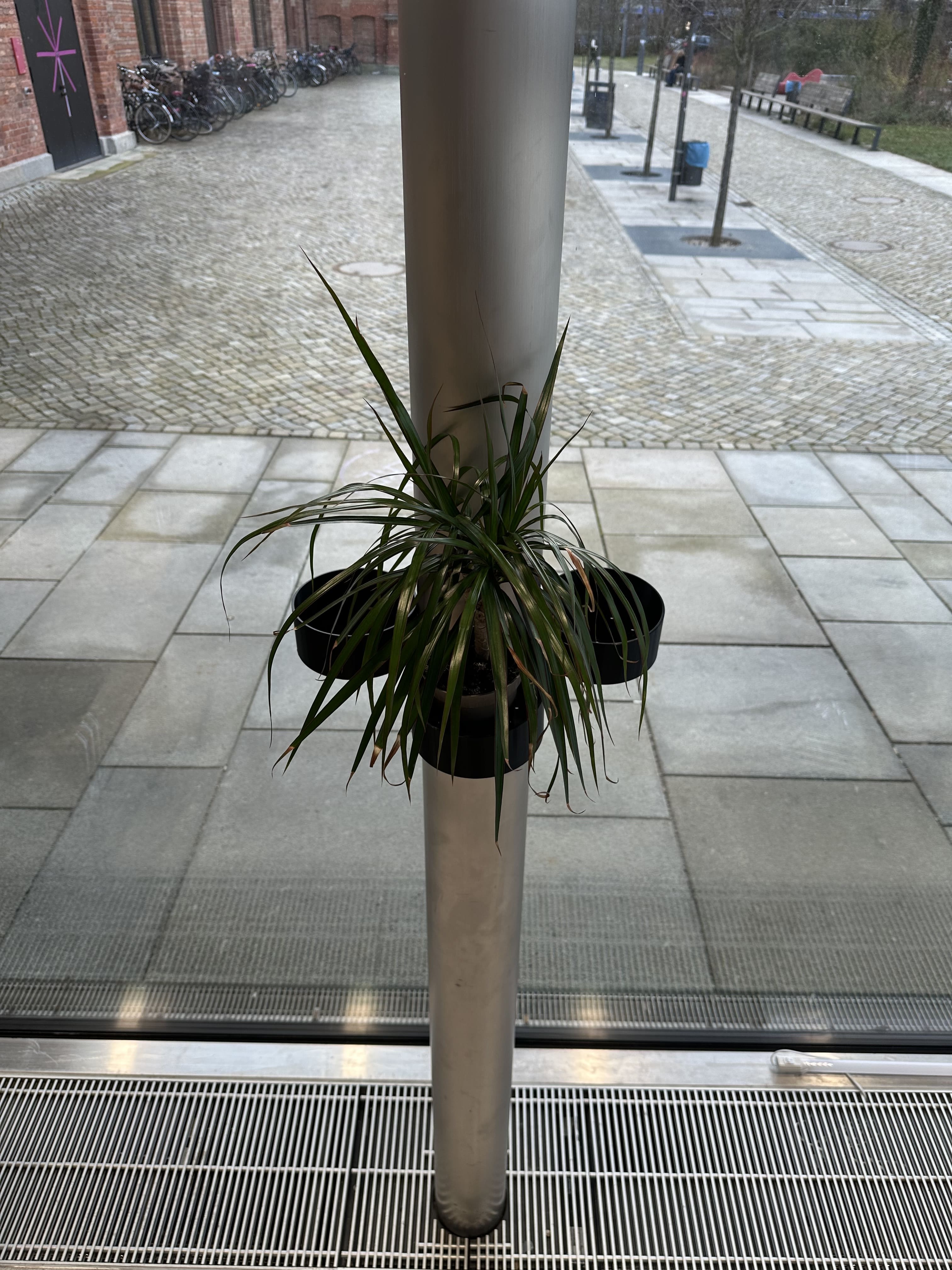 Product Nr.3 Image 1